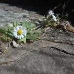 Marjetica opozarja na potrebno zmanjšanje rabe energije.